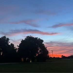 Monday marathon! Items 1-50 live show